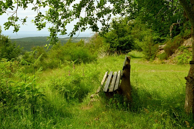 技术细腻的 技术细腻的