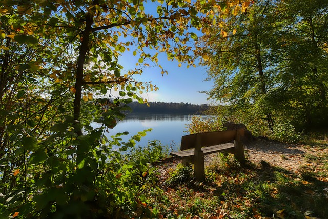 得他不仅可 得他不仅可