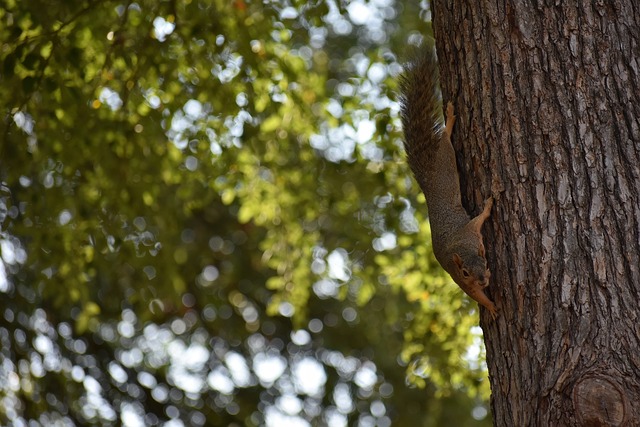 响了警钟 响了警钟