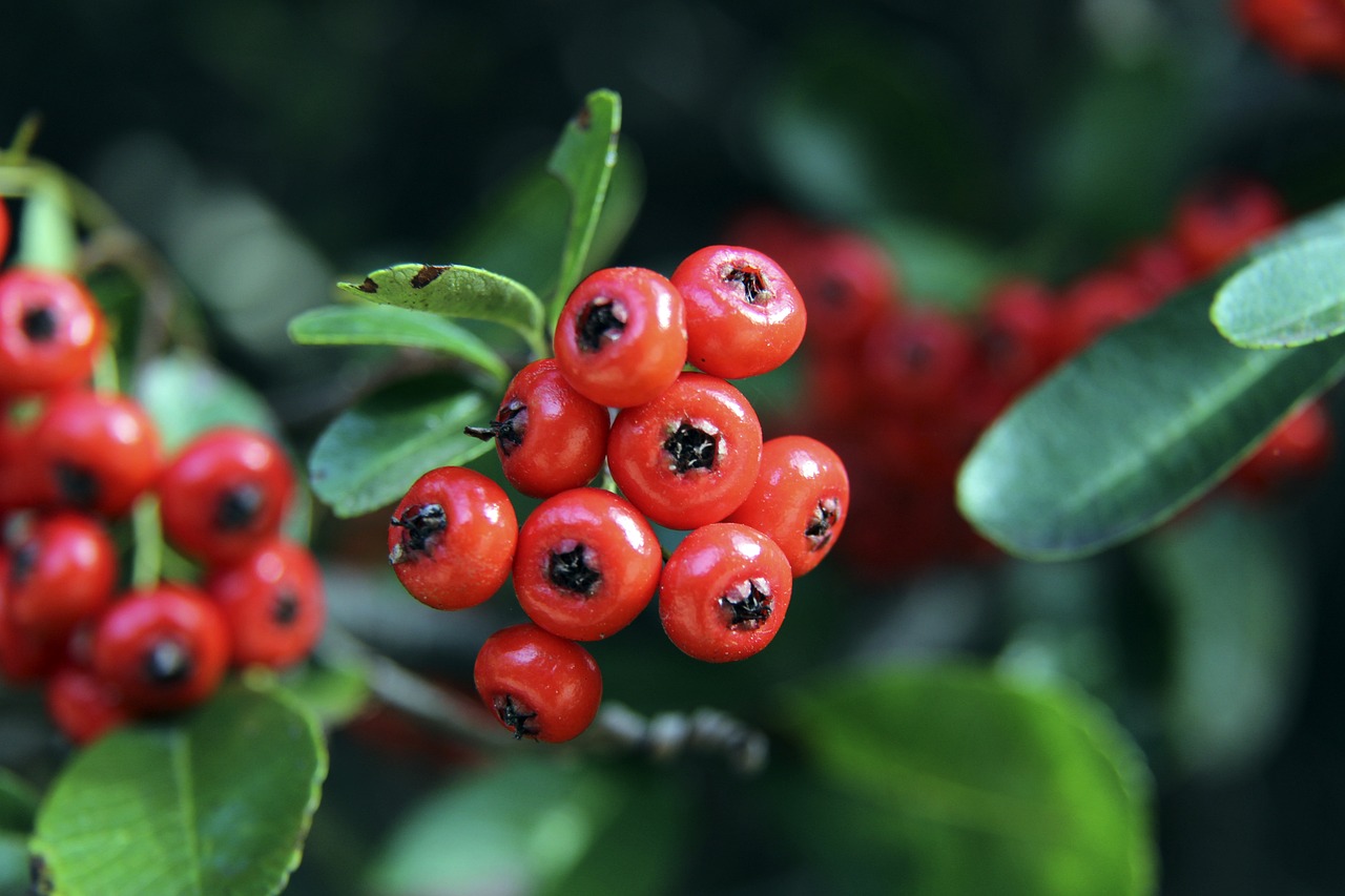 立竿见影 立竿见影