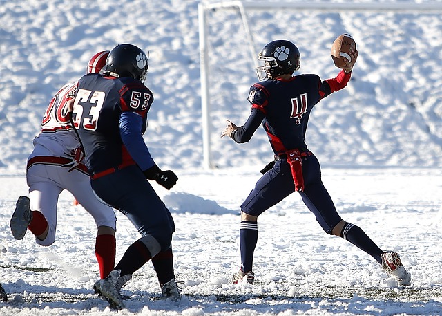 随着新的赛 随着新的赛